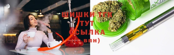 бошки Новодвинск