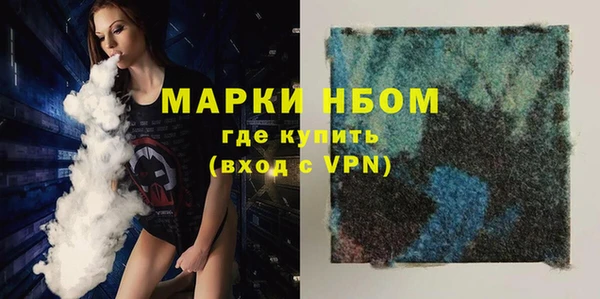 бошки Новодвинск
