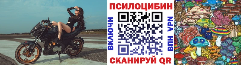 MEGA зеркало  купить   Орехово-Зуево  Галлюциногенные грибы Psilocybine cubensis 